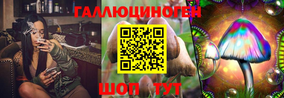 Псилоцибиновые грибы прущие грибы Елабуга