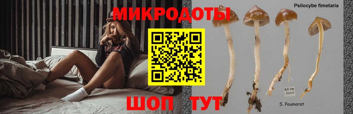 Елабуга  где купить наркотик  Вход с VPN  Галлюциногенные грибы прущие грибы 